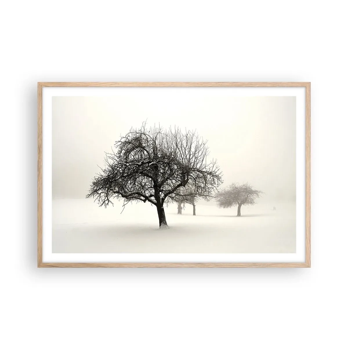Poster în ramă de stejar deschis - Hibernare - 91x61 cm