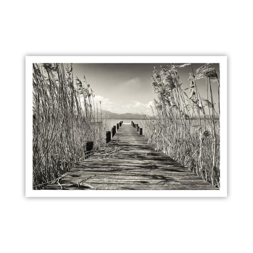 Poster - În intimitatea ierburilor - 100x70 cm