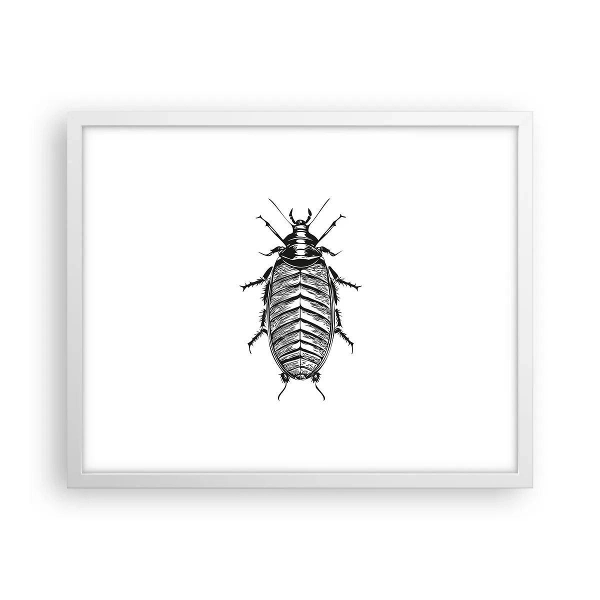 Poster în ramă albă - Ce specimen! - 50x40 cm