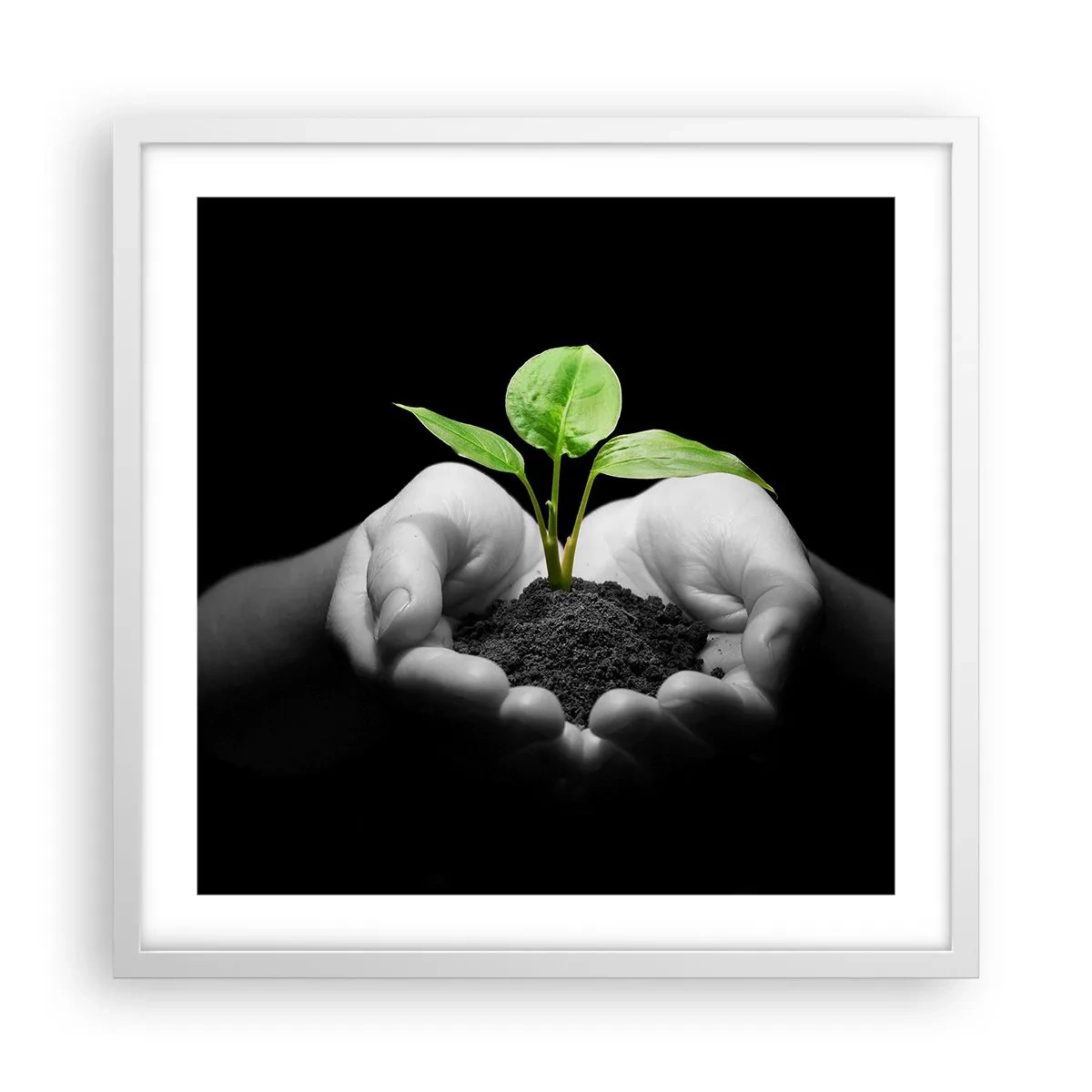 Poster în ramă albă - Iubesc natura, o protejez - 50x50 cm