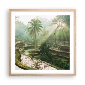 Poster în ramă de stejar deschis - Crescând la soare - 50x50 cm
