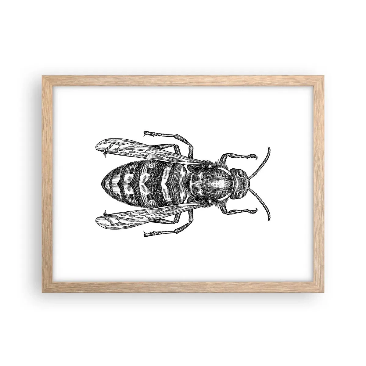 Poster în ramă de stejar deschis - De pe o planetă de insecte - 40x30 cm