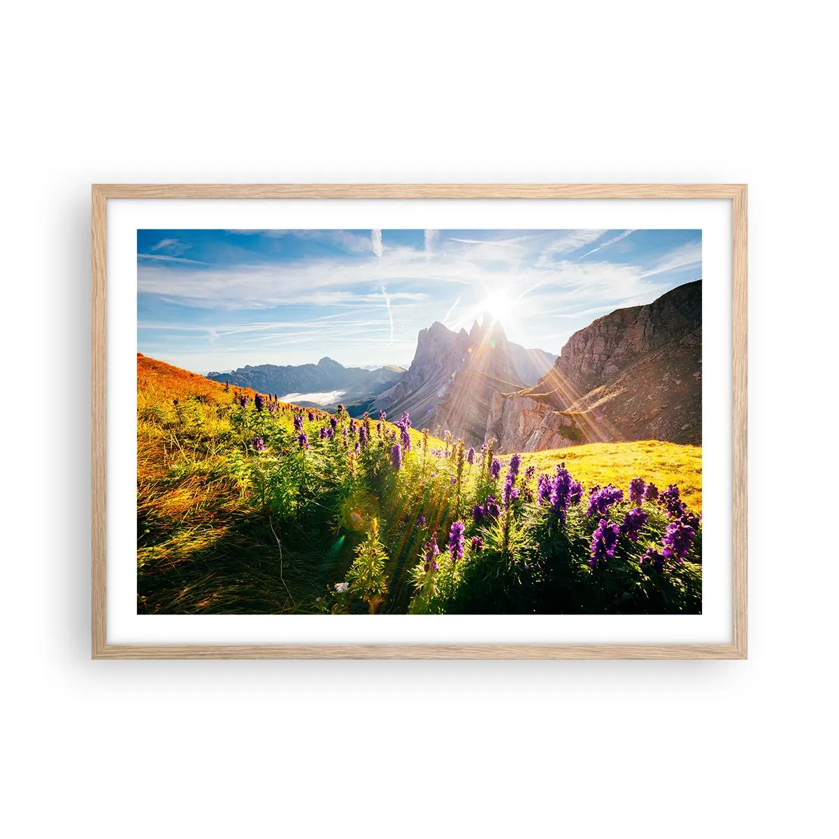 Poster în ramă de stejar deschis - Viața secretă a ierburilor - 70x50 cm