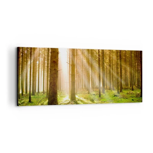 Tablou pe pânză - Spiridușii sunt pe cale să apară - 120x50 cm