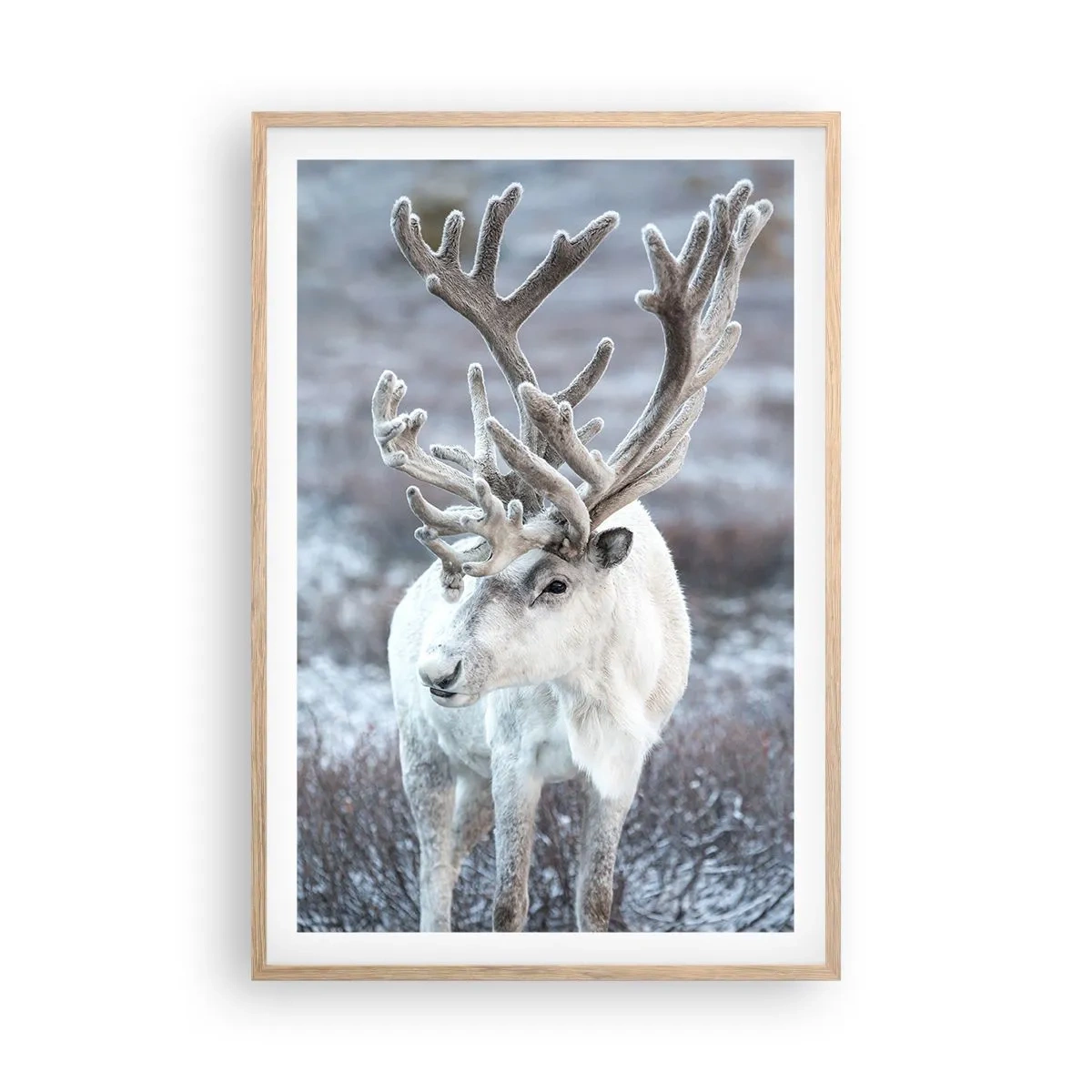 Poster în ramă de stejar deschis - Portret la soare - 61x91 cm