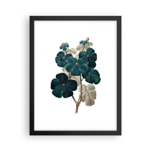 Poster în ramă neagră - Dintr-un vechi ierbar - 30x40 cm