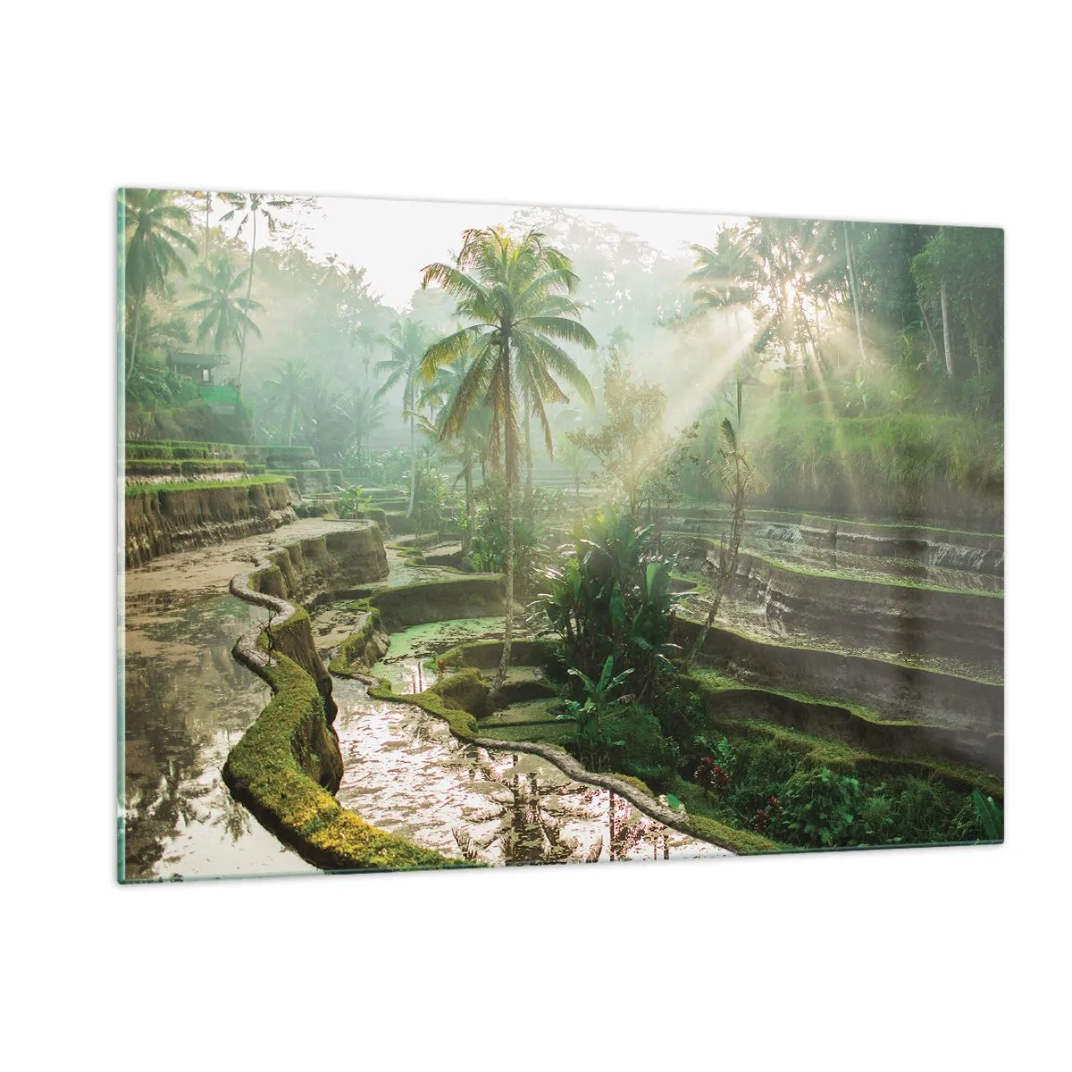 Tablou pe sticlă - Crescând la soare - 120x80 cm