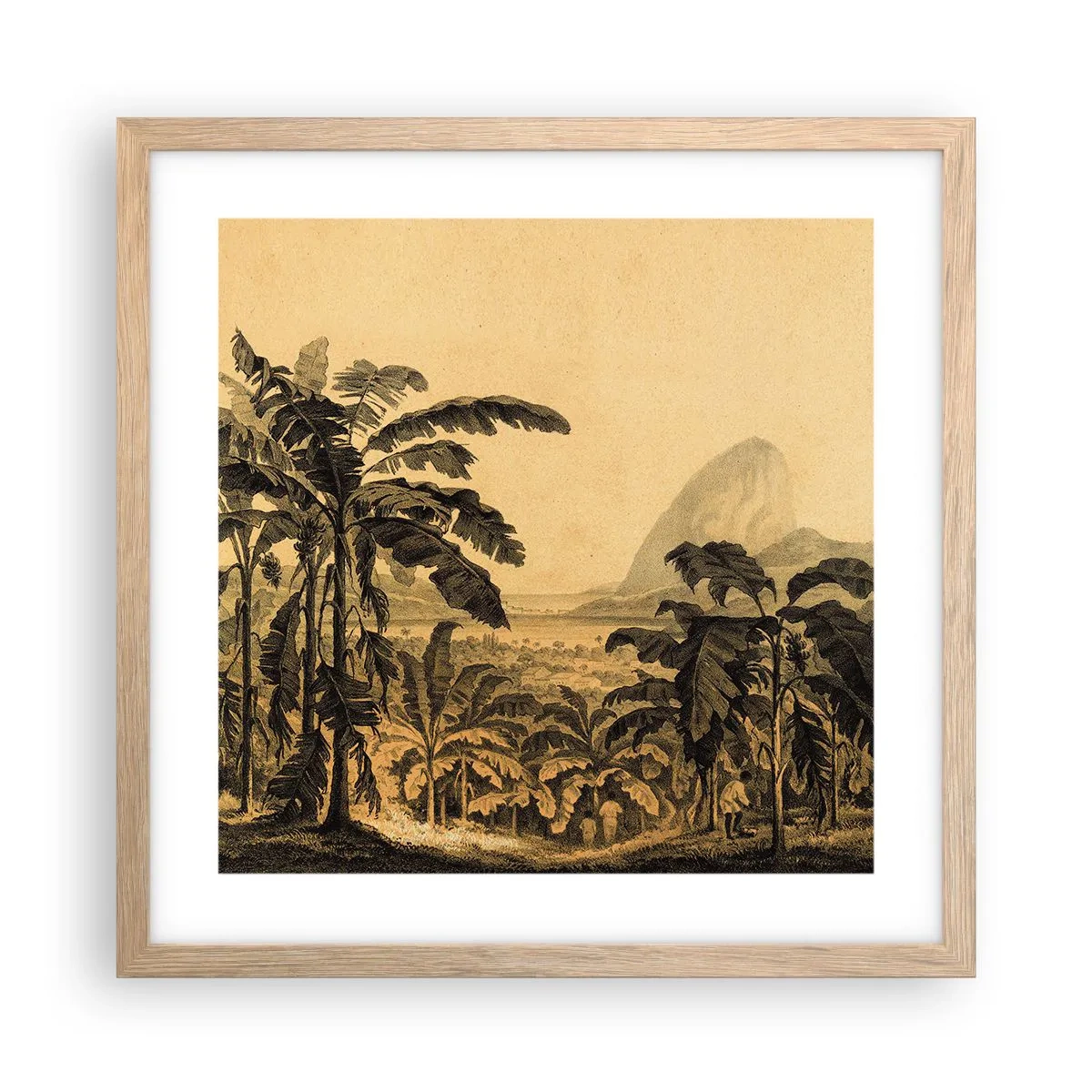 Poster în ramă de stejar deschis - În stil colonial - 40x40 cm
