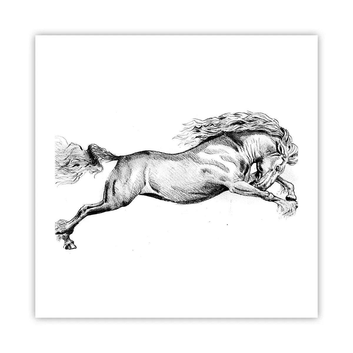 Poster - Oprit din galop - 50x50 cm