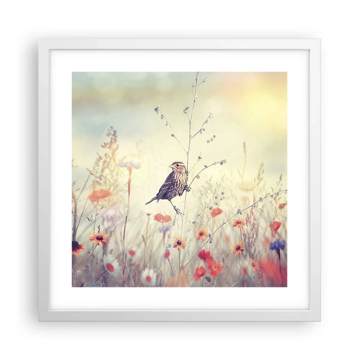 Poster în ramă albă - Portret de pasăre cu o pajiște în fundal - 40x40 cm