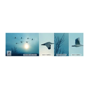 Mostră de Tapet Standard Eco - Adio vară pentru un an - Peisaj, Barză, Păsări - 100x30 cm