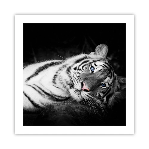 Poster - Sălbăticie și pace - 50x50 cm