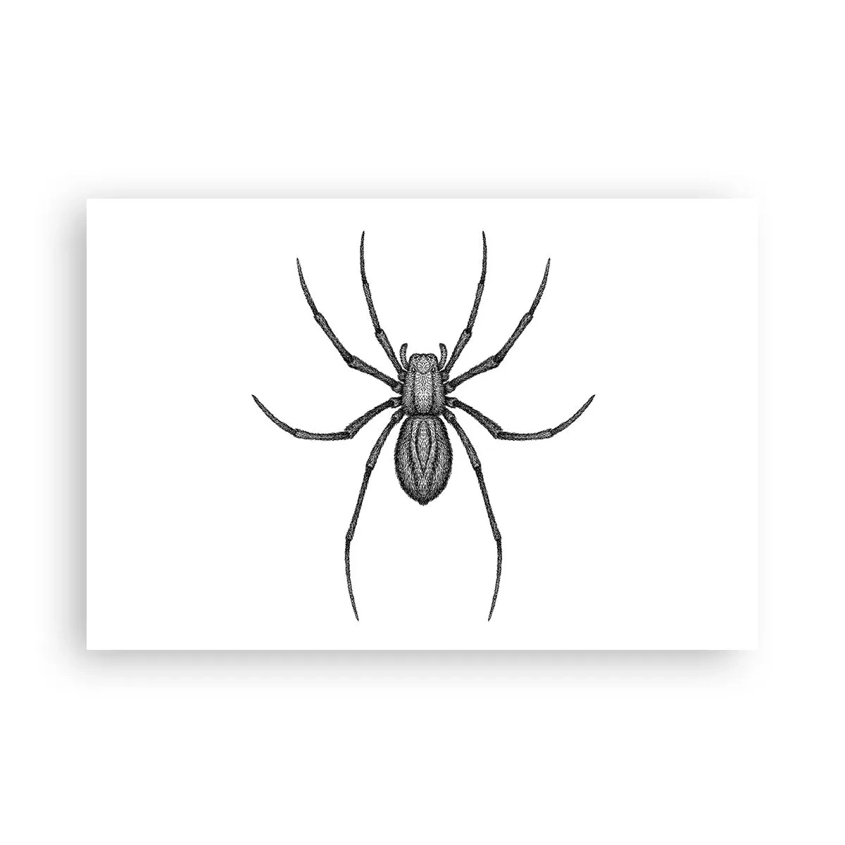 Poster - Precizie tulburătoare - 91x61 cm