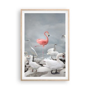 Poster în ramă de stejar deschis - De unde am venit? - 61x91 cm