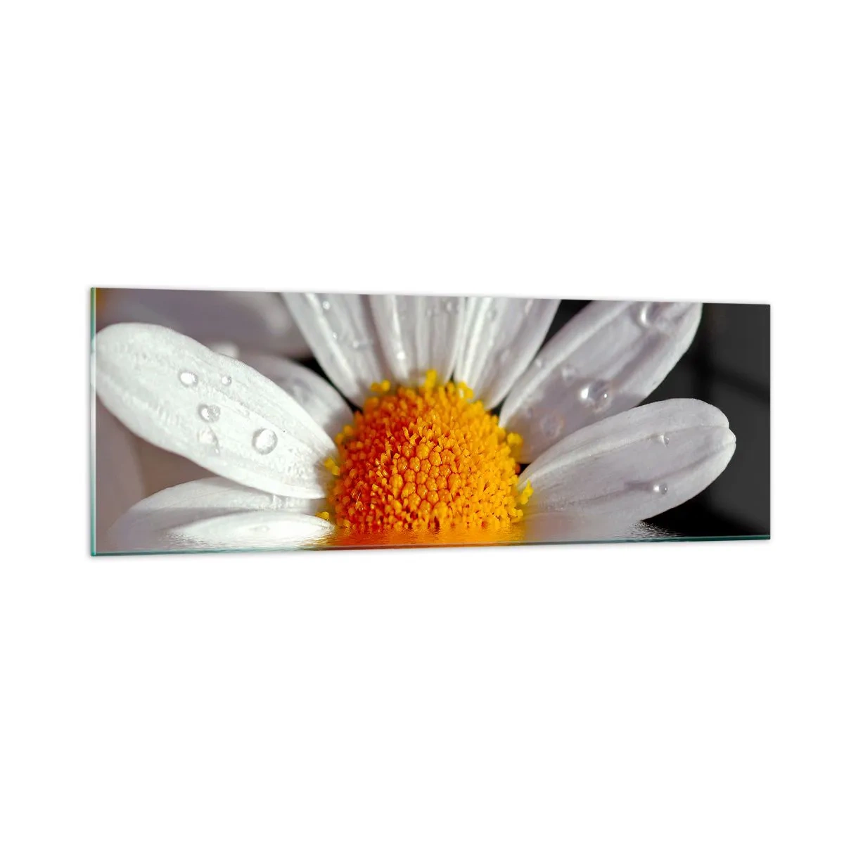 Tablou pe sticlă - Răsăritul soarelui al Margaretei - 90x30 cm