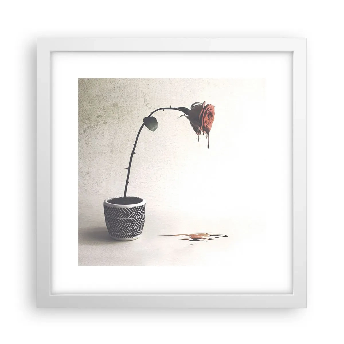 Poster în ramă albă - Rosa dolorosa - 30x30 cm