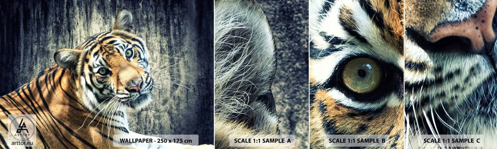 Mostră de Tapet Standard Eco - Portret în fluxuri de lumină - Animale, Tigru, Africa - 100x30 cm