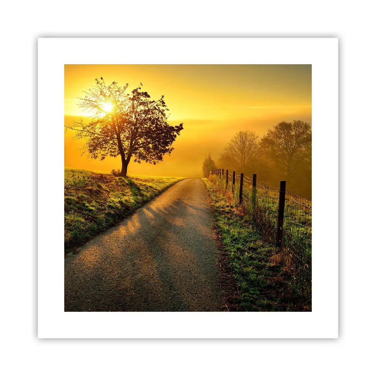 Poster - O după-amiază de miel - 40x40 cm