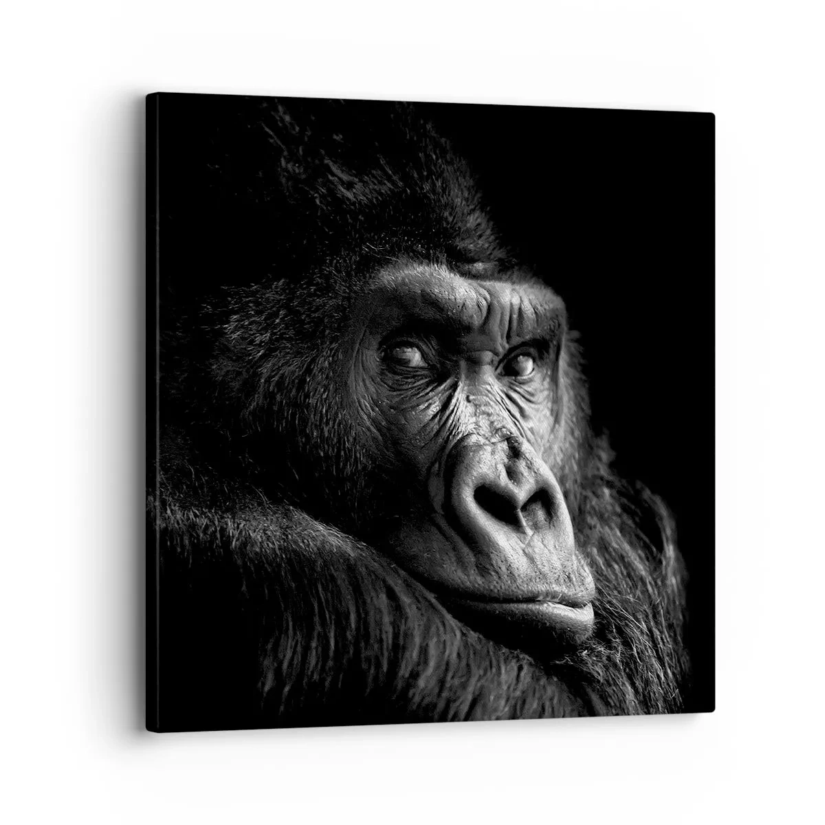 Tablou pe pânză - Și la ce te uiți? - 30x30 cm