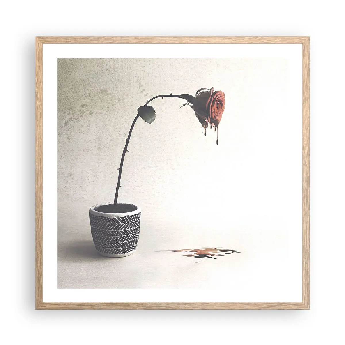 Poster în ramă de stejar deschis - Rosa dolorosa - 60x60 cm