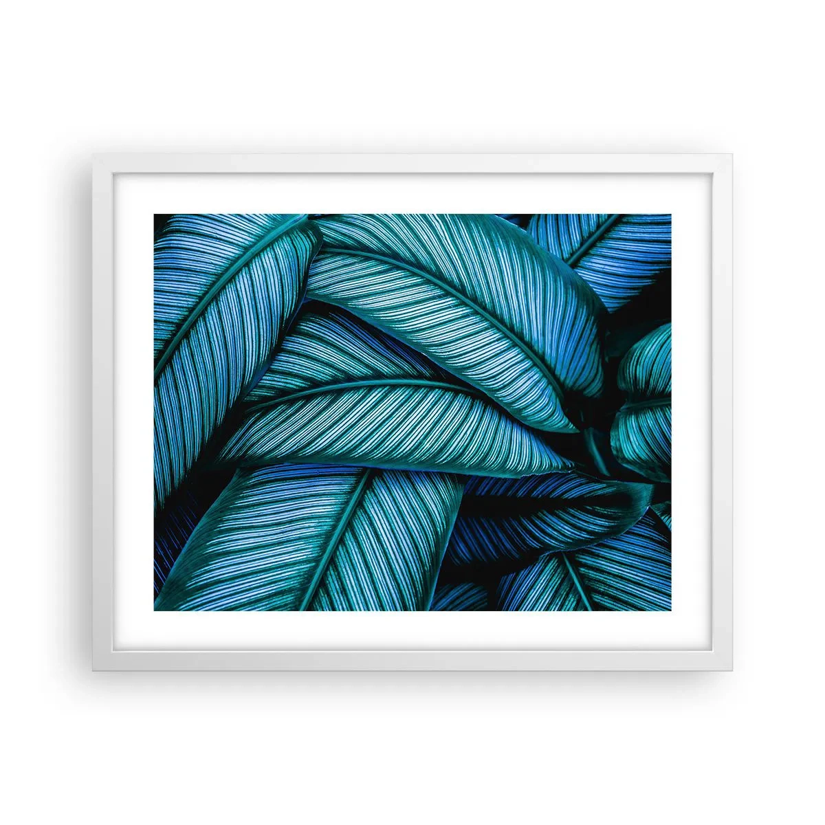 Poster în ramă albă - Linii de viață - 50x40 cm