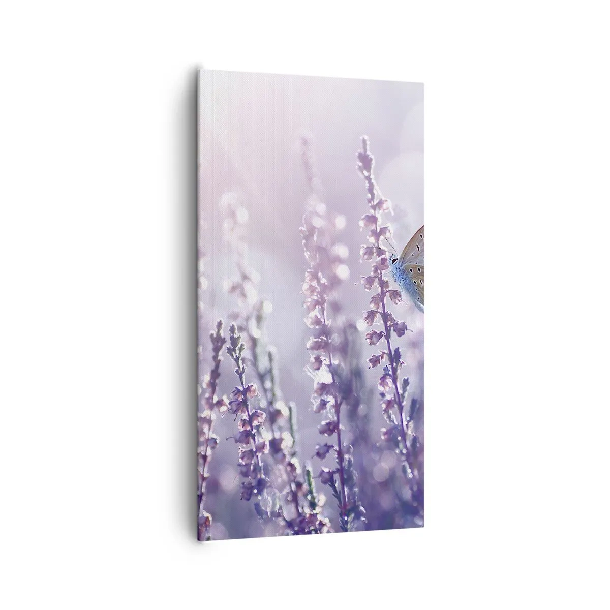 Tablou pe pânză - Sărut de fluture - 65x120 cm