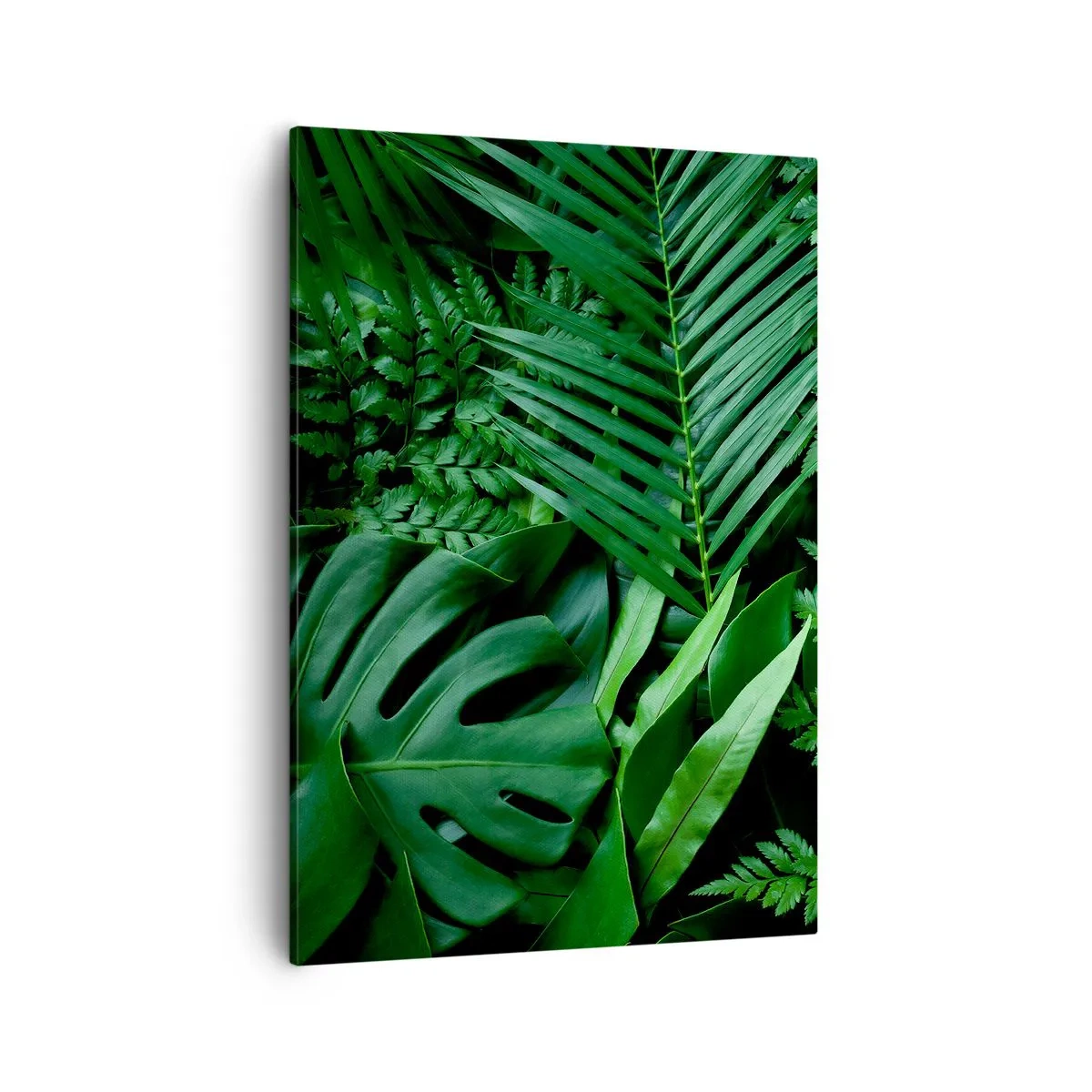 Tablou pe pânză - Înfășurate în verde - 50x70 cm