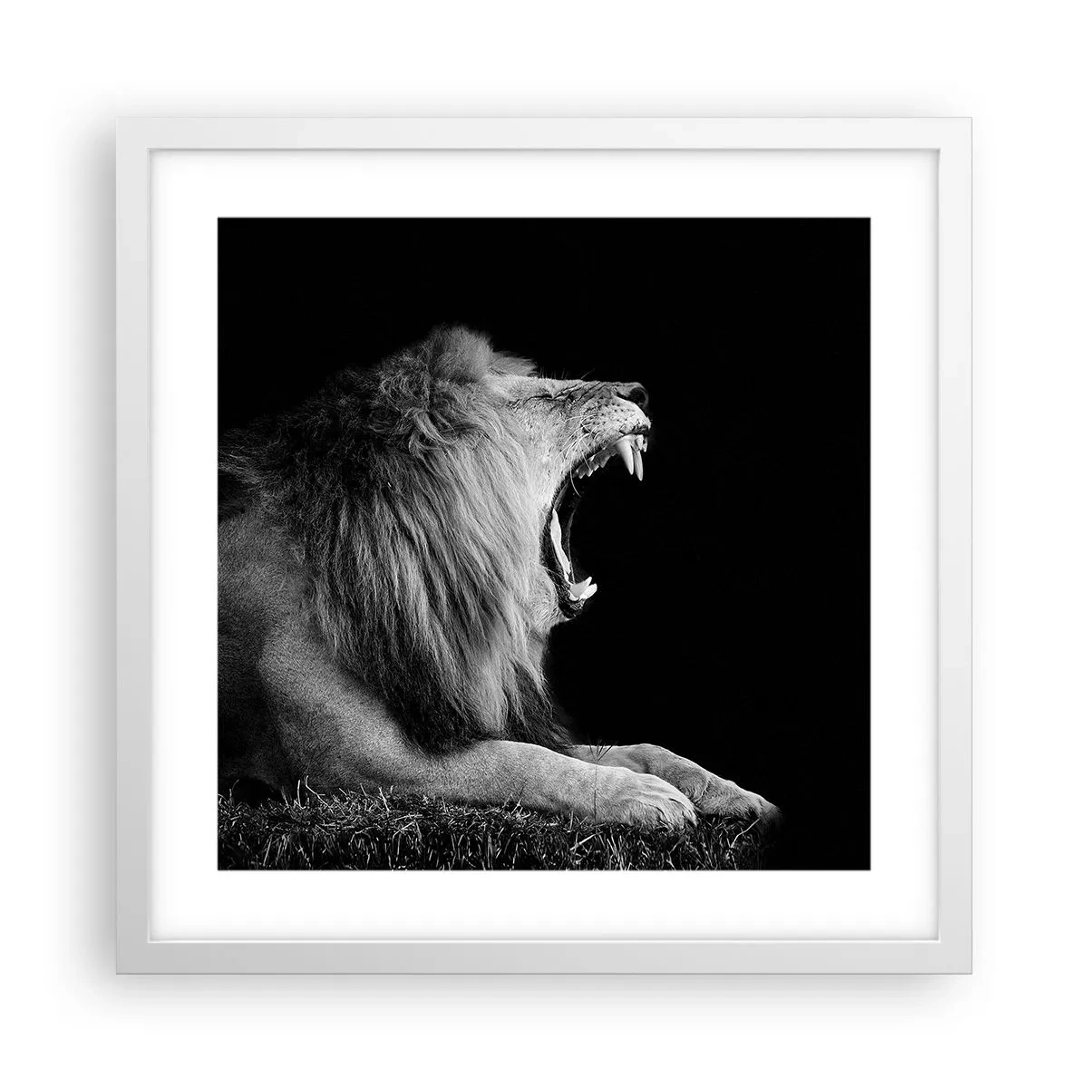 Poster în ramă albă - Fără nici o ezitare - 40x40 cm