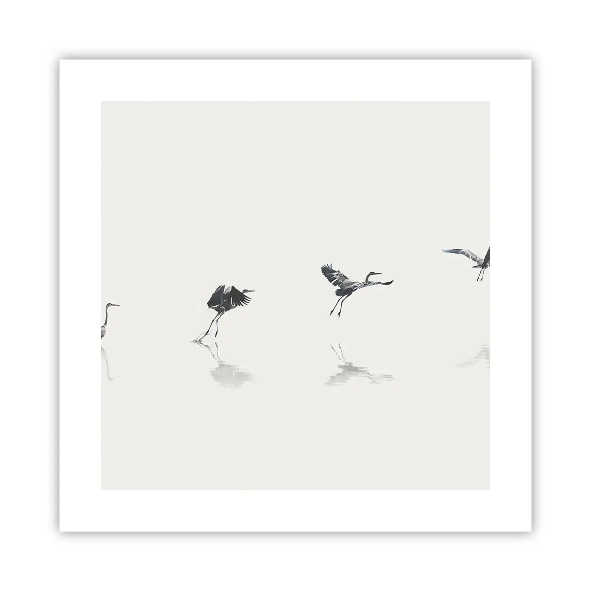 Poster - Patru pași simpli - 40x40 cm