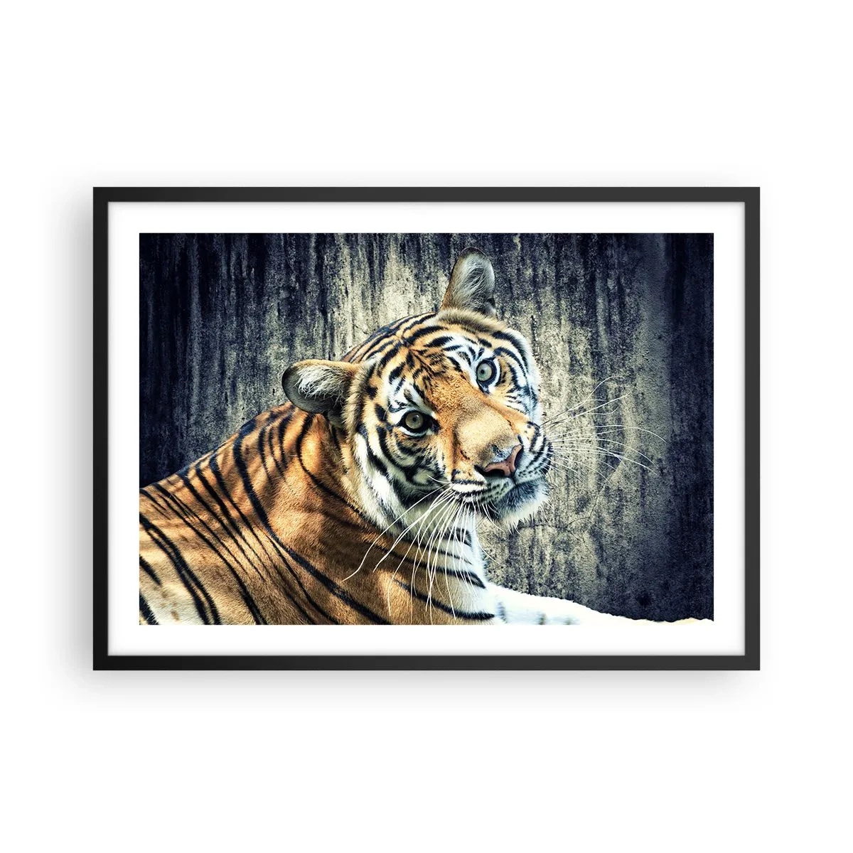 Poster în ramă neagră - Portret în fluxuri de lumină - 70x50 cm