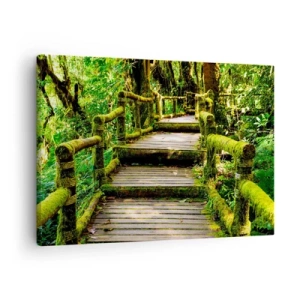 Tablou pe pânză Canvas - Un pod de lemn acoperit cu mușchi într-o pădure tropicală - 70x50cm - Coridorul verde - Decorațiune modernă pentru perete pentru living și dormitor ARTTOR
