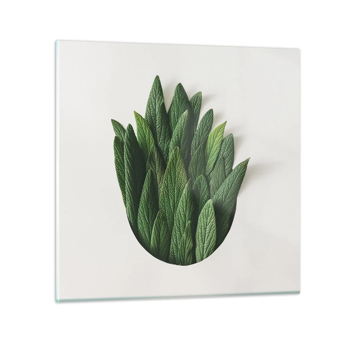 Tablou pe sticlă - Curiozitatea nestăvilită - 50x50 cm