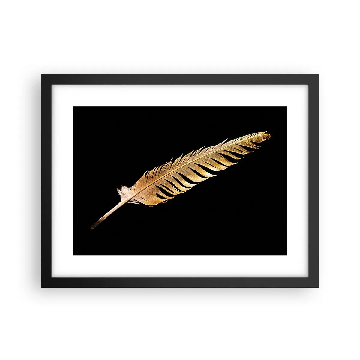 Poster în ramă neagră - Pană aurie perfectă - 40x30 cm