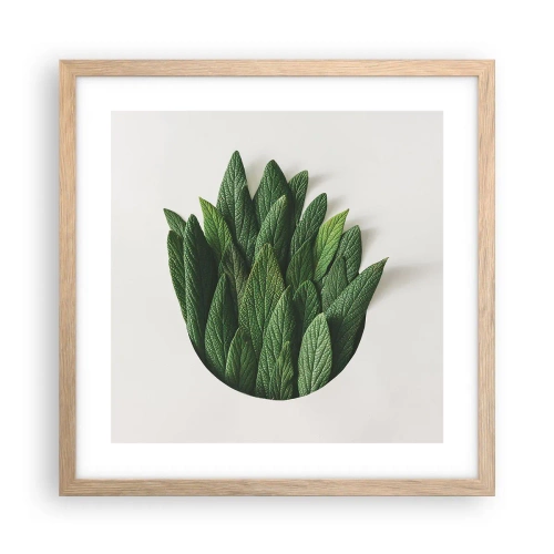 Poster în ramă de stejar deschis - Curiozitatea nestăvilită - 40x40 cm