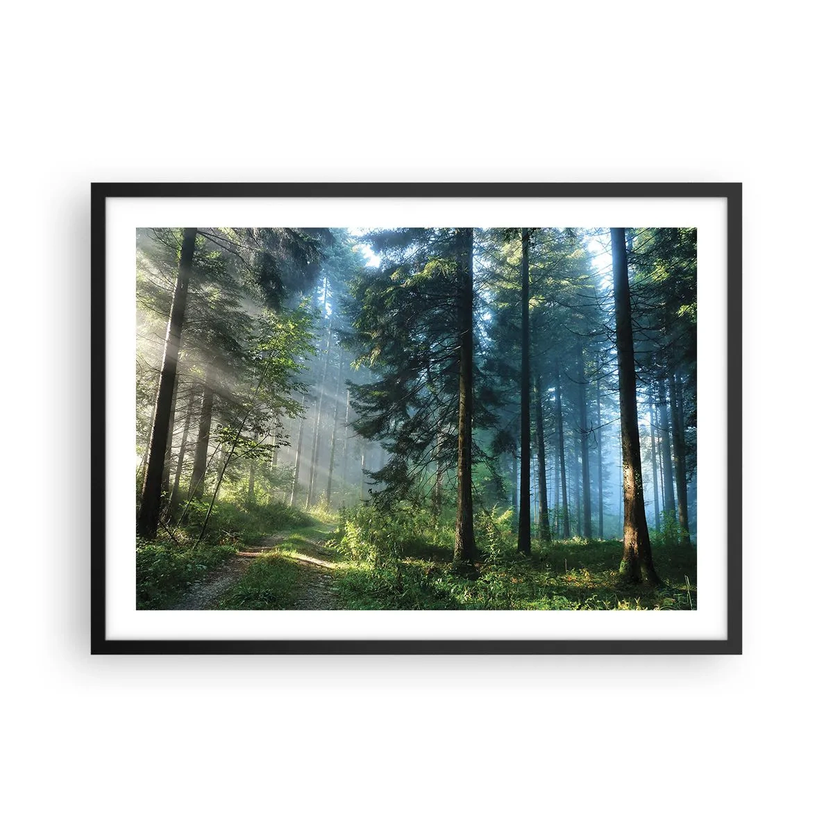 Poster în ramă neagră - Strălucirea de dimineață - 70x50 cm