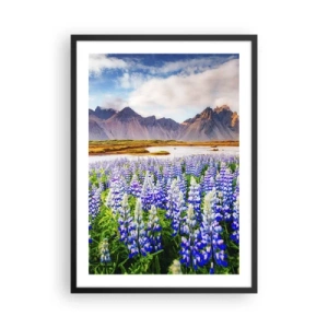 Poster în ramă neagră - Un câmp de lupini cu munți în fundal - 50x70cm - Putere și severitate alături de blândețe - Decorațiune modernă pentru perete pentru living și dormitor ARTTOR