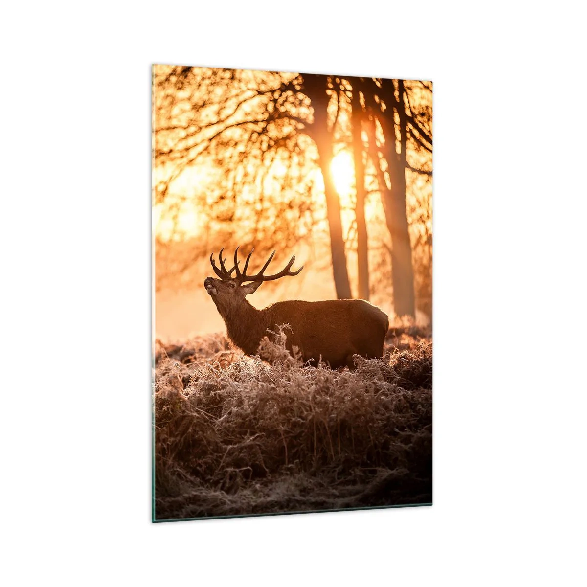 Tablou pe sticlă - Visul unui vânător - 70x100 cm