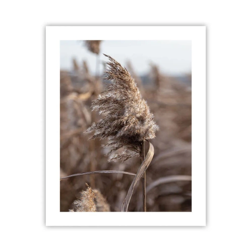 Poster - E timpul să zbori cu vântul - 40x50 cm