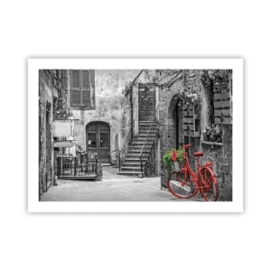 Poster - Alee din Toscana - 70x50 cm