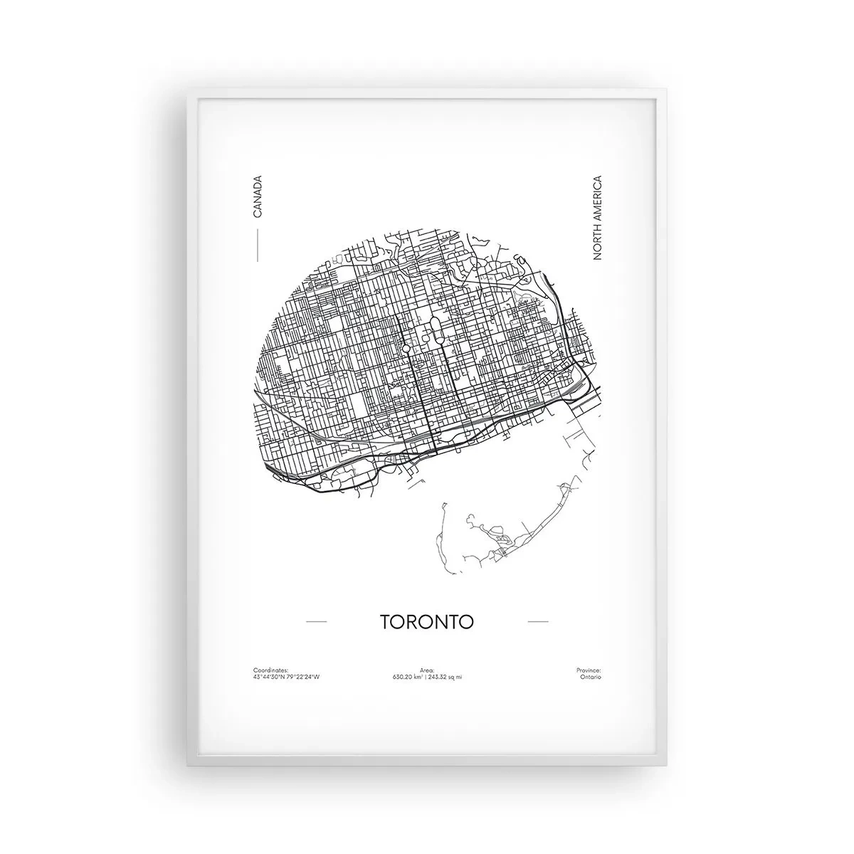 Poster în ramă albă - Anatomia Toronto - 70x100 cm