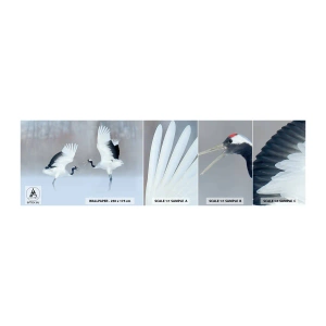 Mostră de Tapet Standard Eco - Dansând în ceață - Iarnă, Pasăre, Natură - 100x30 cm