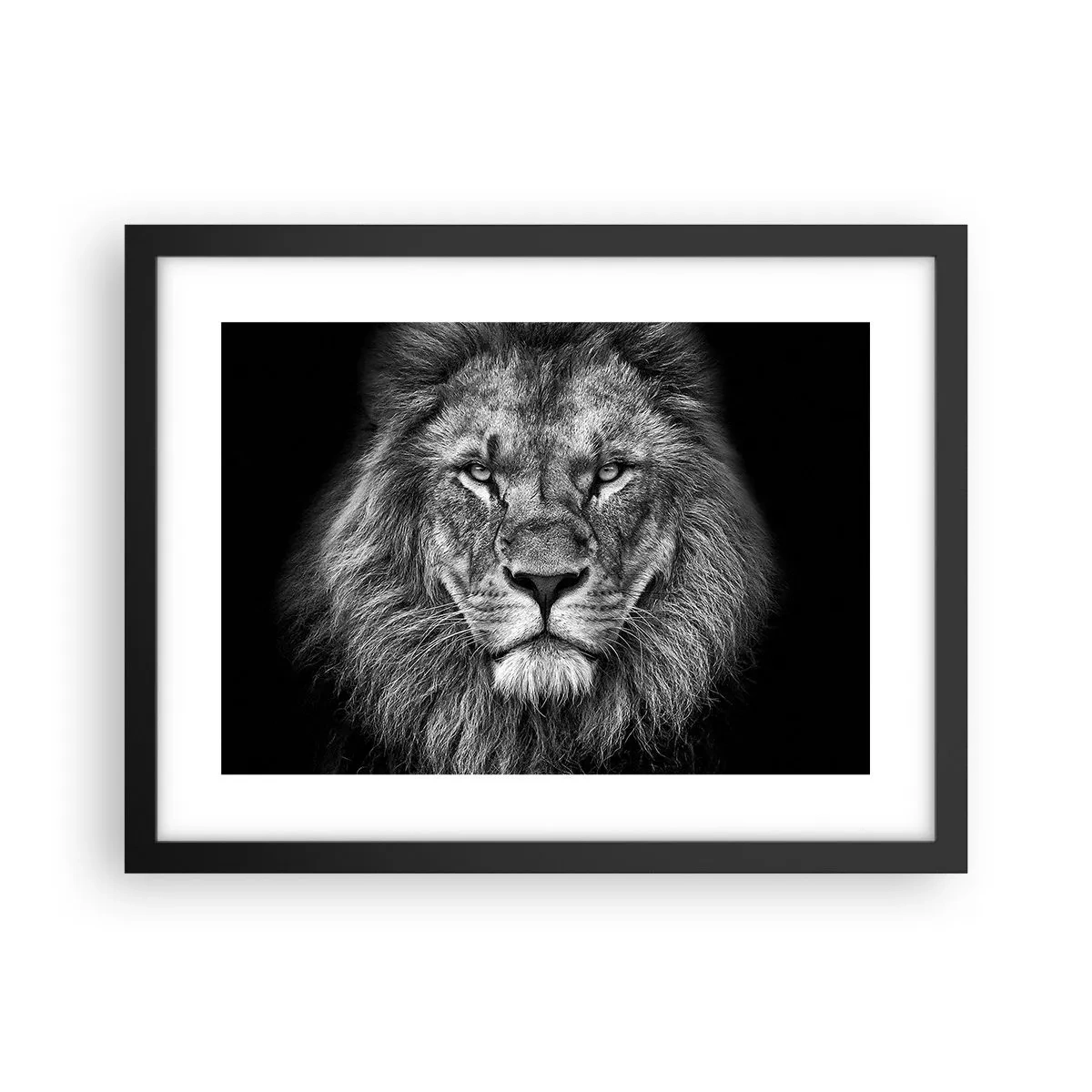 Poster în ramă neagră - În ținuta de încoronare - 40x30 cm
