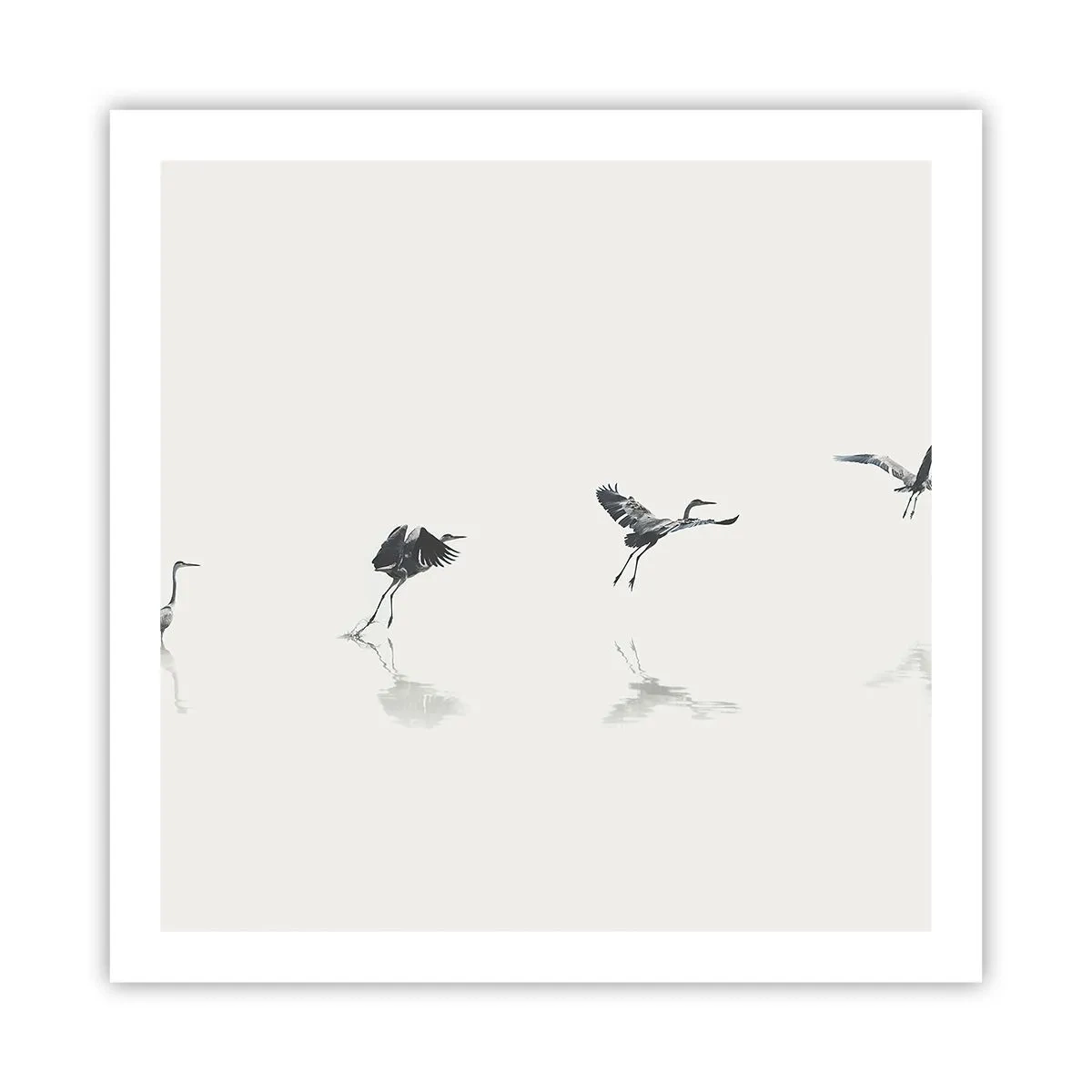 Poster - Patru pași simpli - 60x60 cm