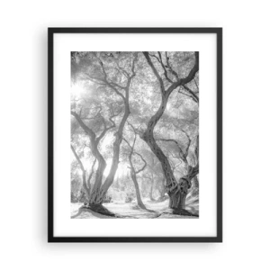 Poster în ramă neagră - Într-o livadă de măslini - 40x50 cm