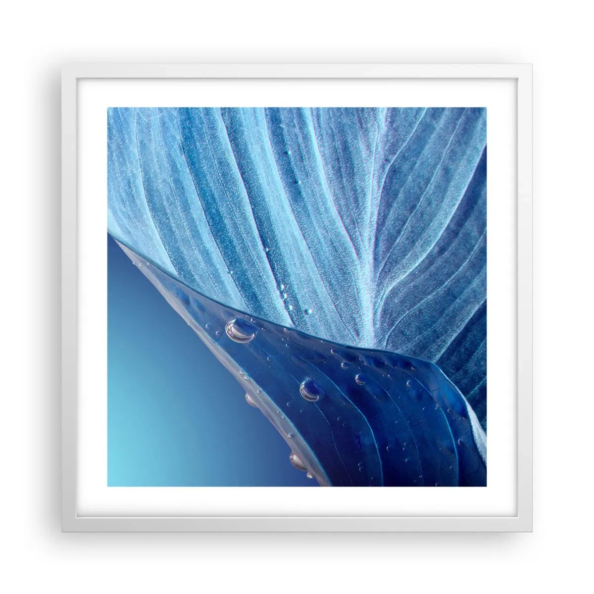 Poster în ramă albă - Picături ascunse de albastru - 50x50 cm