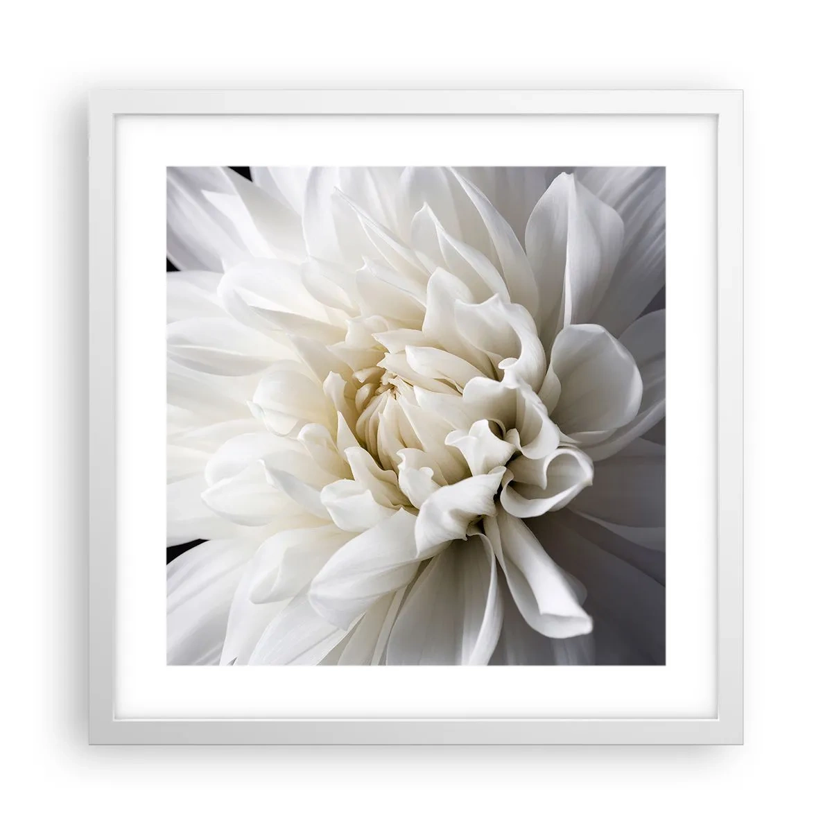 Poster în ramă albă - Dimineața miresei - 40x40 cm