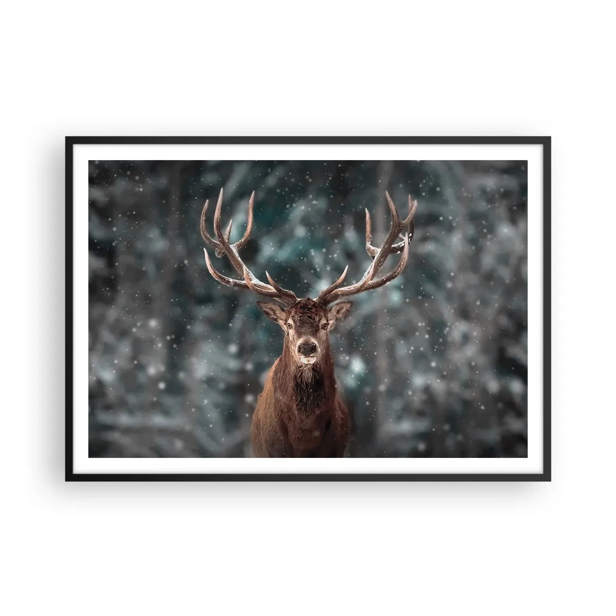 Poster în ramă neagră - Regele pădurii a fost încoronat - 100x70 cm