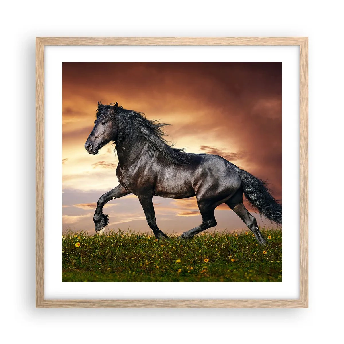 Poster în ramă de stejar deschis - Prințul negru - 50x50 cm