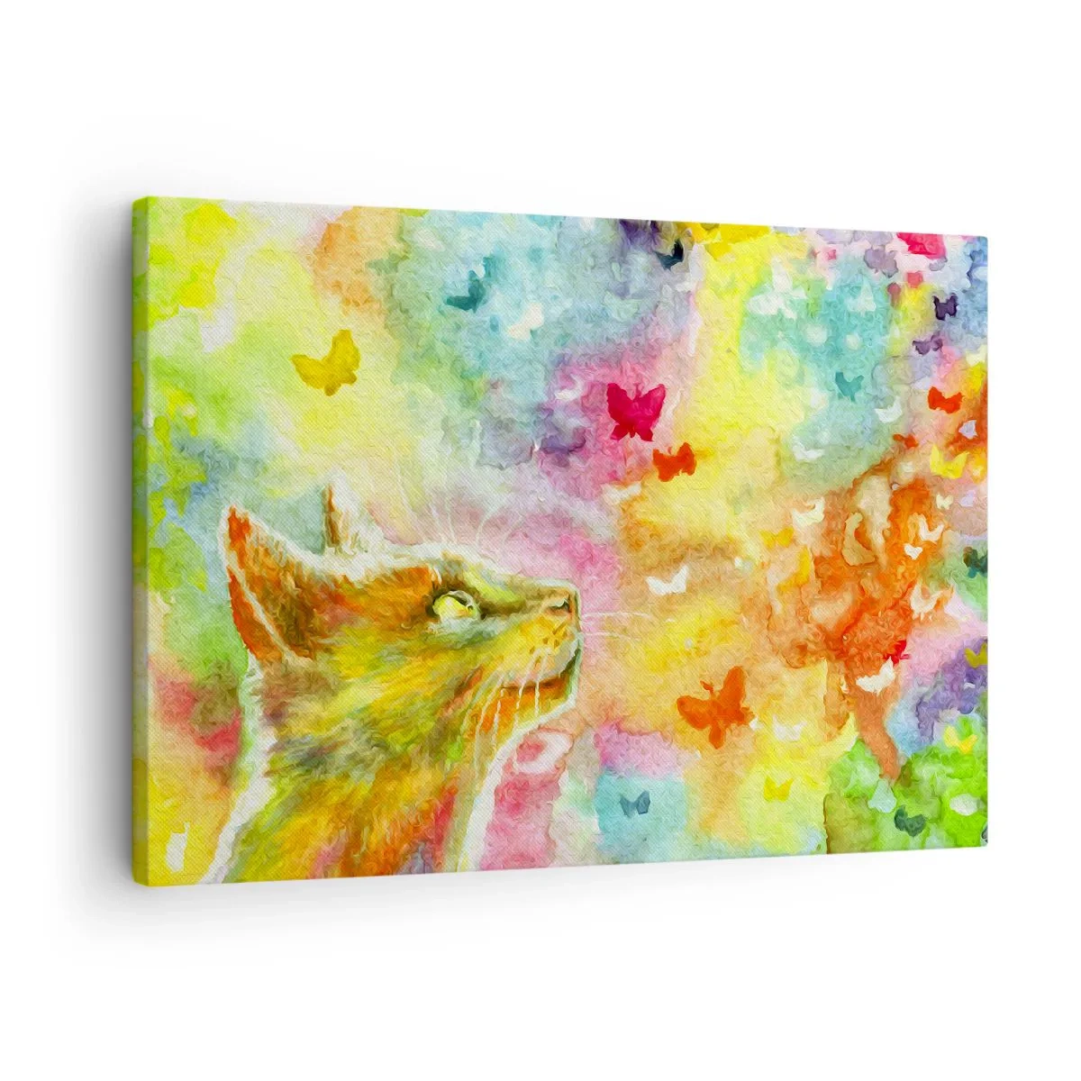 Tablou pe pânză Canvas - O pisică înconjurată de fluturi colorați - 70x50cm - Raiul pisicilor - Decorațiune modernă pentru perete pentru living și dormitor ARTTOR