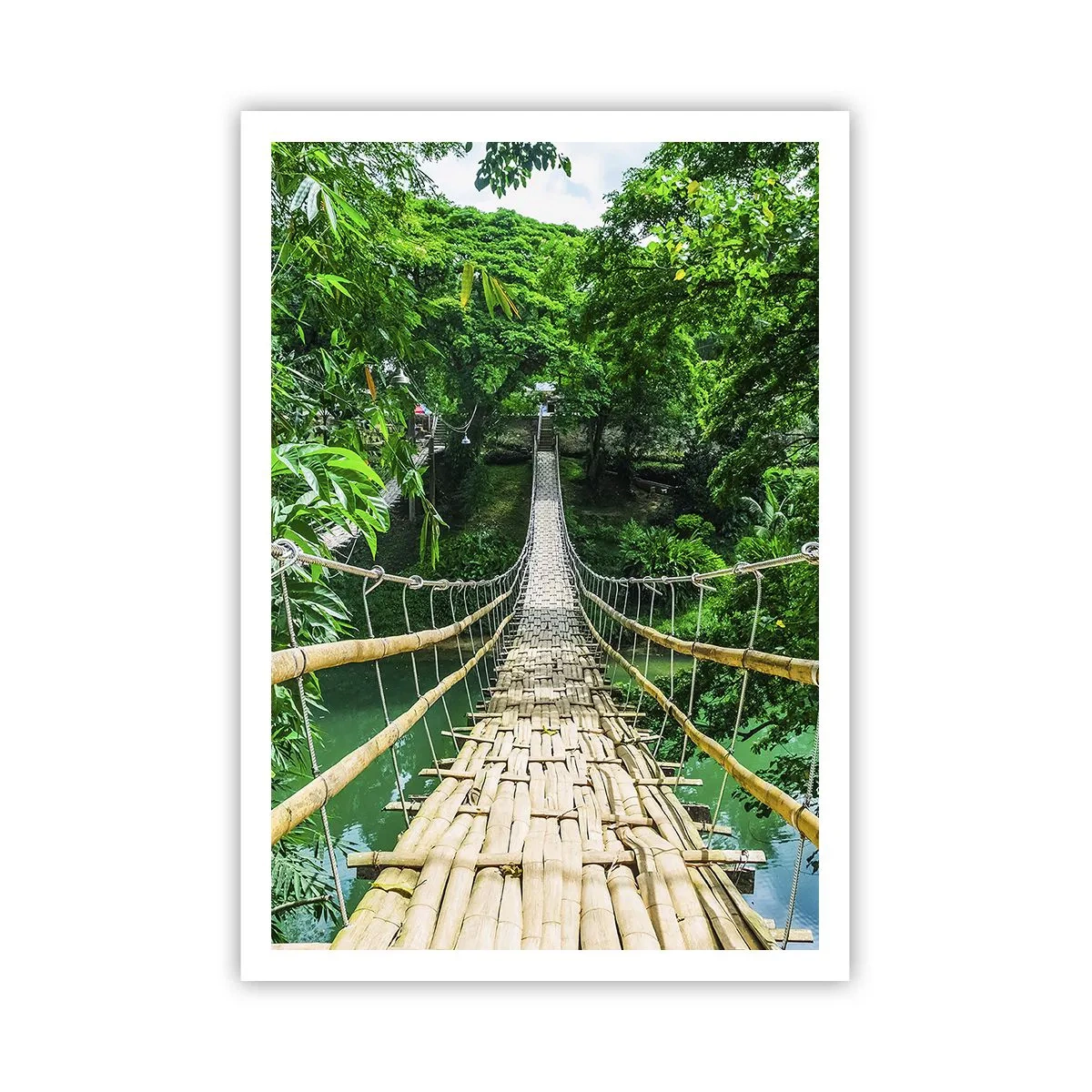 Poster - Pod de maimuțe peste verdeață - 70x100 cm